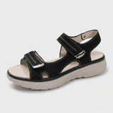 Journey - Omega Walk - M277-Black-37